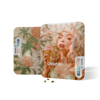 Gelato | Cannabissamen von Azarius