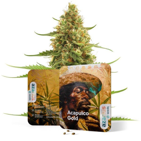 Acapulco Gold Auto | Cannabissamen von Azarius