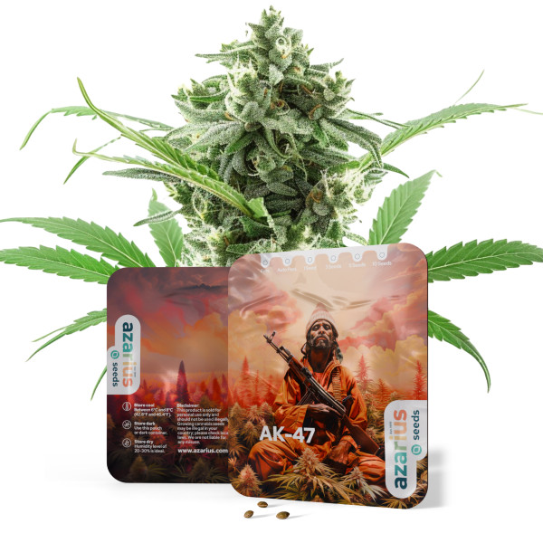 AK-47 – Cannabissamen von Azarius Seeds