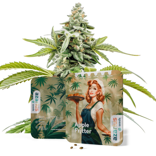 Apple Fritter – Cannabissamen von Azarius Seeds