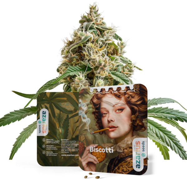 Biscotti – Cannabissamen von Azarius Seeds