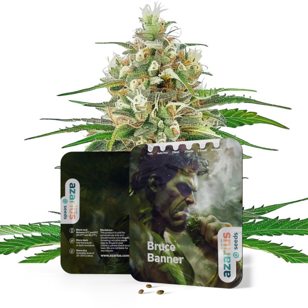 Bruce Banner - Cannabissamen von Azarius Seeds