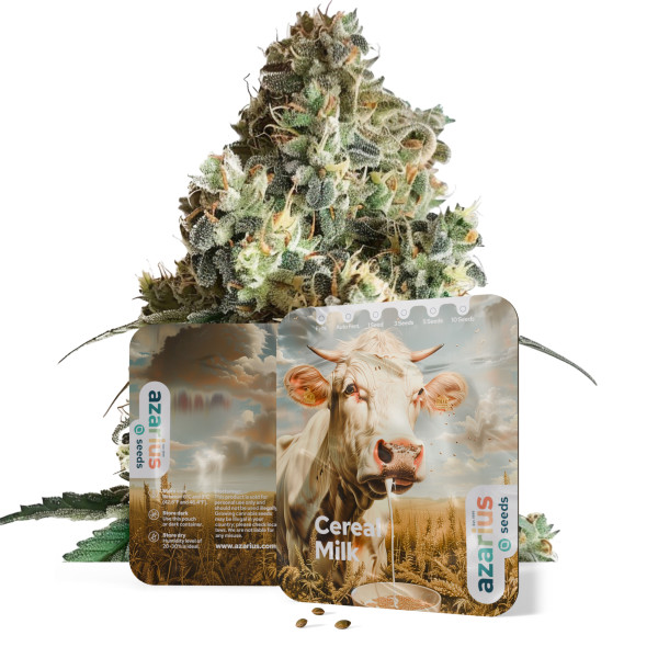 Cereal Milk - Cannabissamen von Azarius Seeds