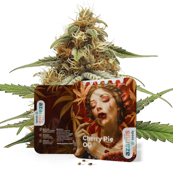 Cherry Pie OG  | Cannabissamen von Azarius