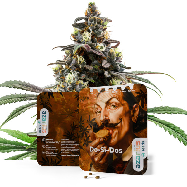 Do-Si-Dos Auto | Cannabissamen von Azarius