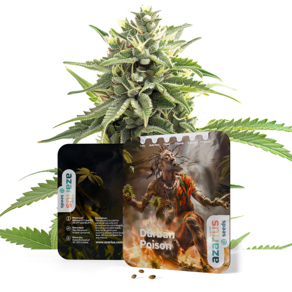 Durban Poison | Cannabissamen von Azarius
