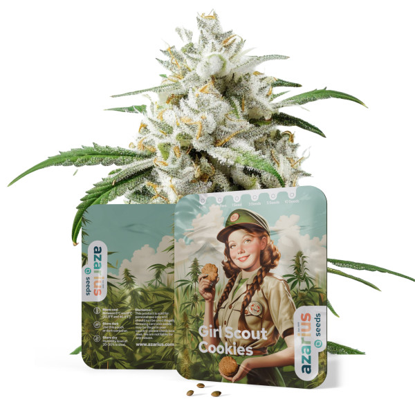 Girl Scout Cookies | Cannabissamen von Azarius