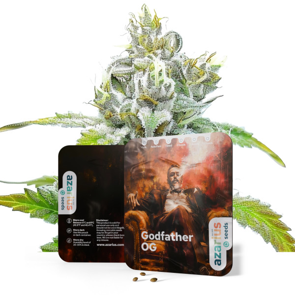 Godfather OG | Cannabissamen von Azarius