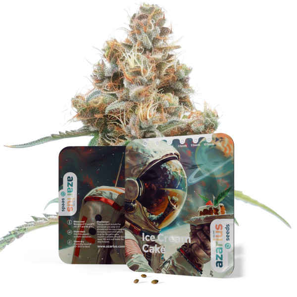 Ice Cream Cake Auto | Cannabissamen von Azarius