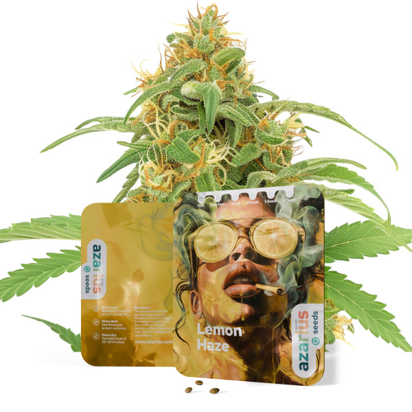 Lemon Haze | Cannabissamen von Azarius