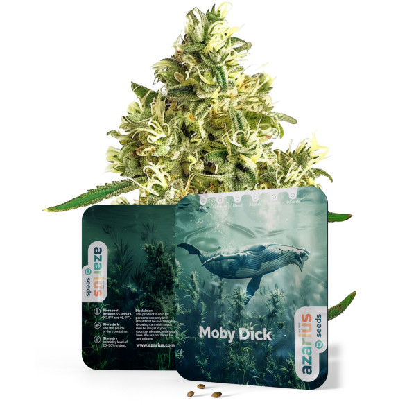 Moby Dick | Cannabissamen von Azarius
