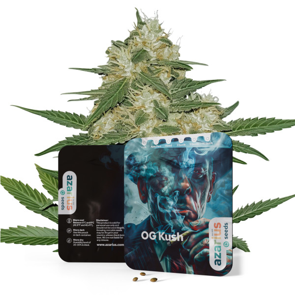 OG Kush | Cannabissamen von Azarius