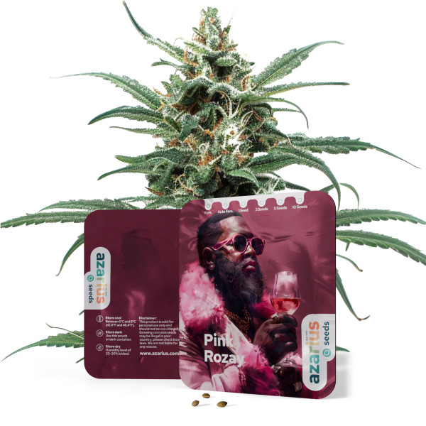 Pink Rozay | Cannabissamen von Azarius