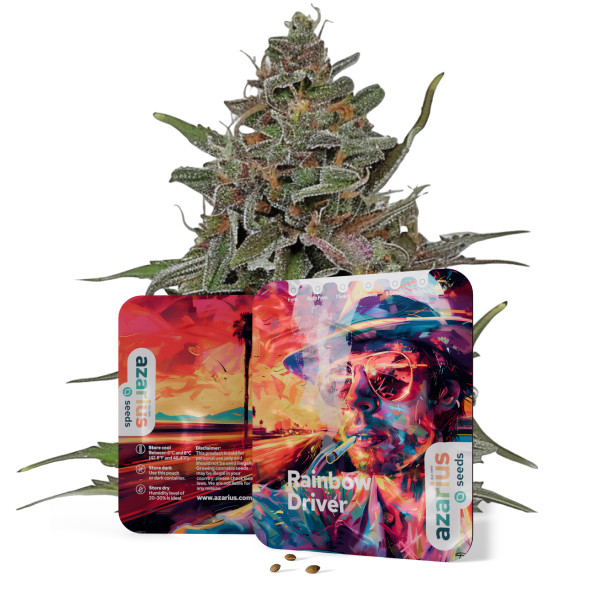 Rainbow Driver – Cannabissamen von Azarius