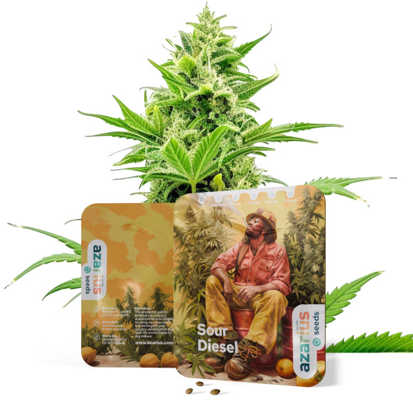 Sour Diesel | Cannabissamen von Azarius