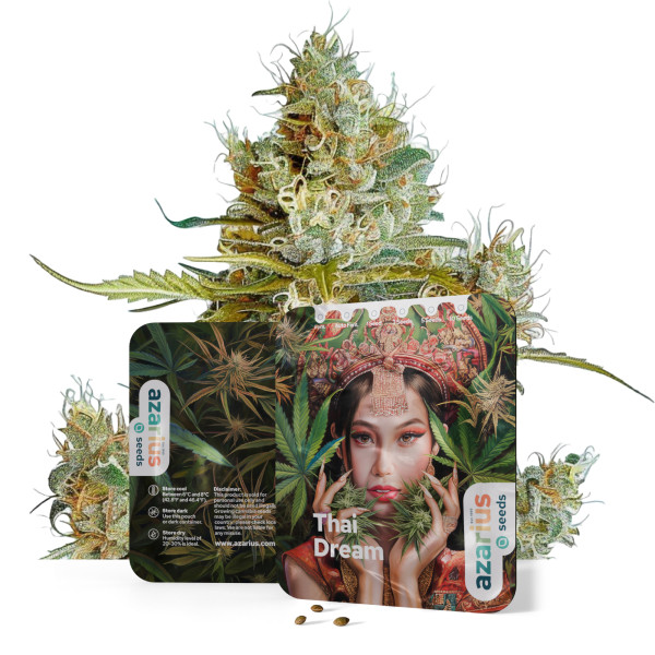 Thai Dream feminisierte Cannabissamen von Azarius