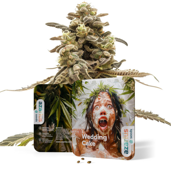 Wedding Cake | Cannabissamen von Azarius