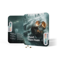 Ghost Train Haze