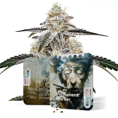Permanent Marker – Cannabissamen bei Azarius