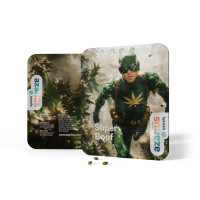 Super Boof Auto