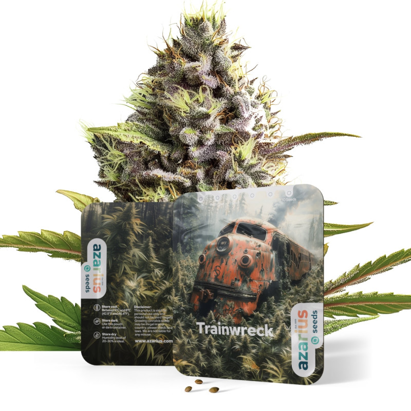 Trainwreck Auto Trainwreck Auto