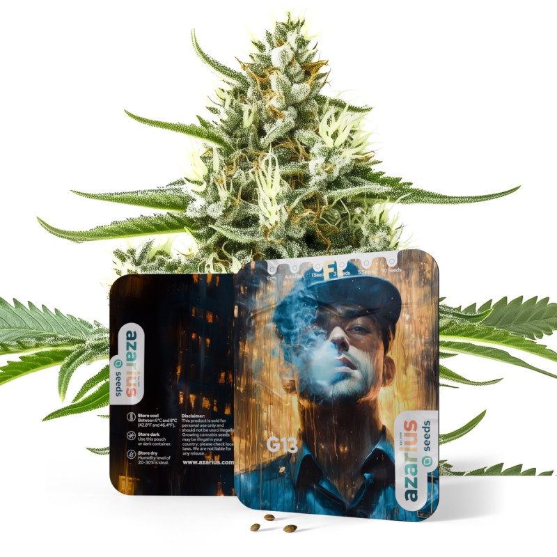 G13 Auto G13 Auto
