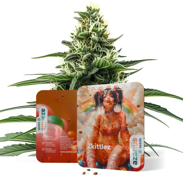 Zkittlez Auto