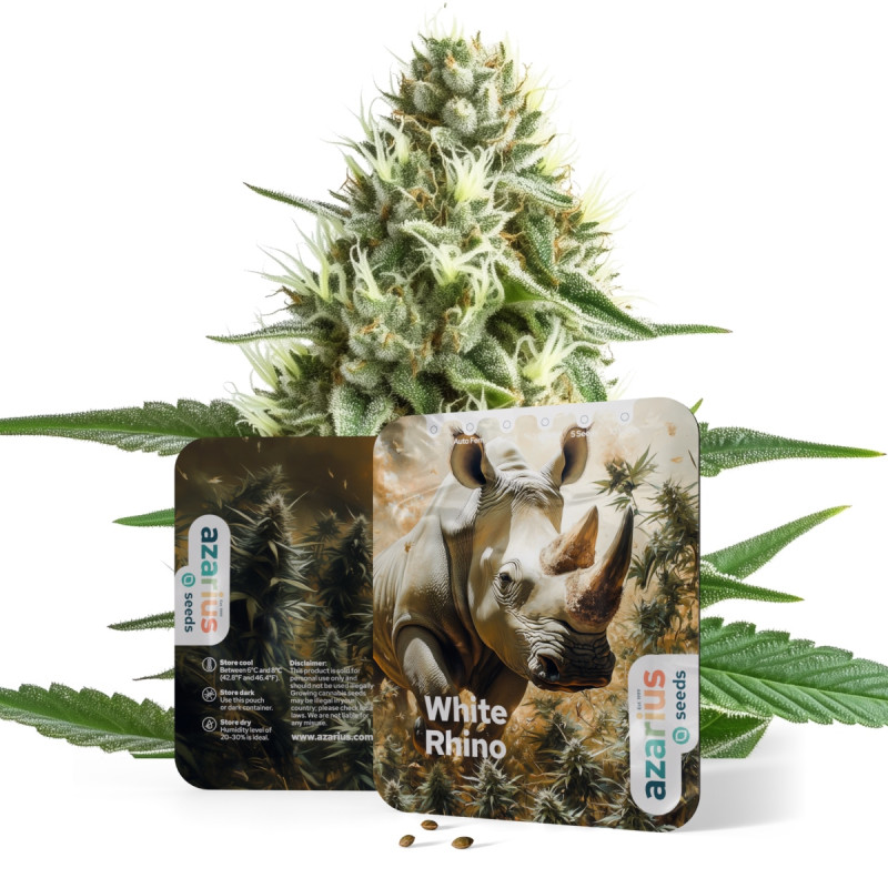 White Rhino Auto White Rhino Auto
