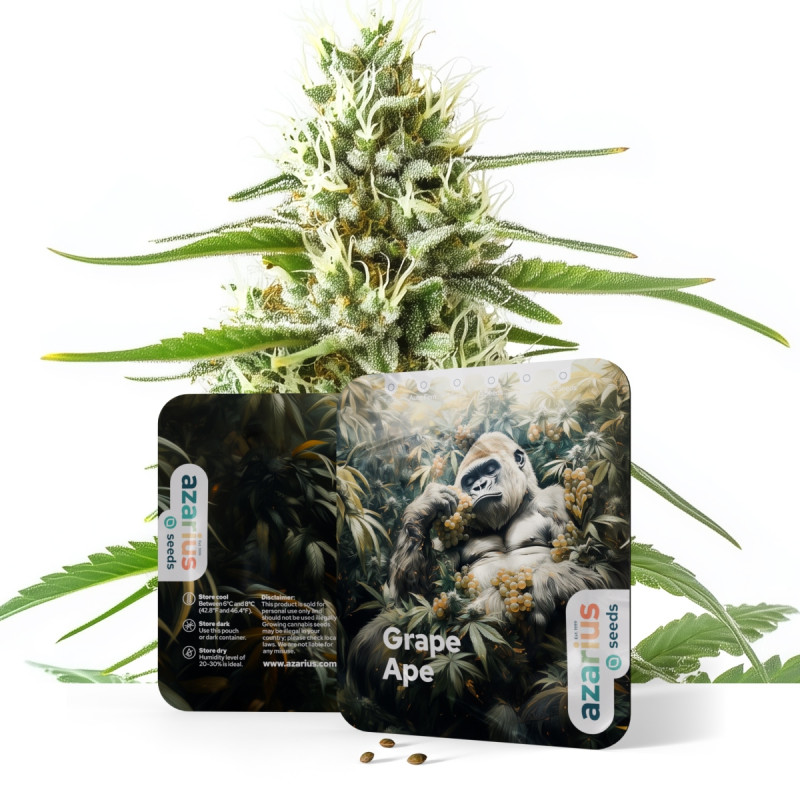 Grape Ape Auto Grape Ape Auto