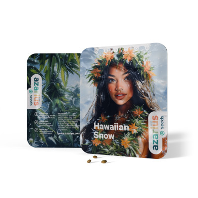 Hawaiian Snow Auto